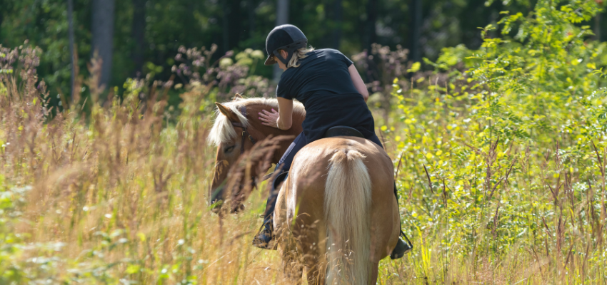 A female rider is going out for a ride with her horse